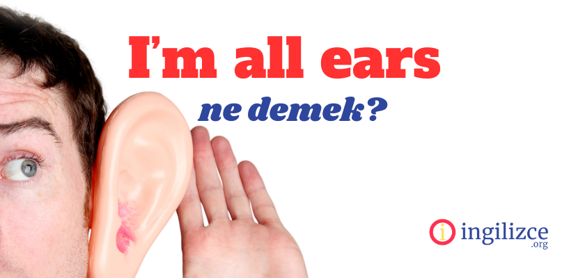 All Ears Deyiminin Kökeni: Orijinal Anlamı ve İpucu [2026] - Kapak Görseli